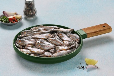 [6241] POOL BARB / UNDAKANNI / ഉണ്ടക്കണ്ണി