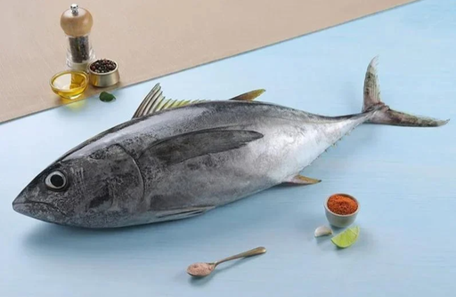 [687] SKIPJACK TUNA  / VARAYAN CHOORA /വരയൻ ചൂര